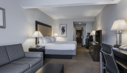 Standard Room, 1 King Bed, Accessible (Communications, Roll-In Shower)