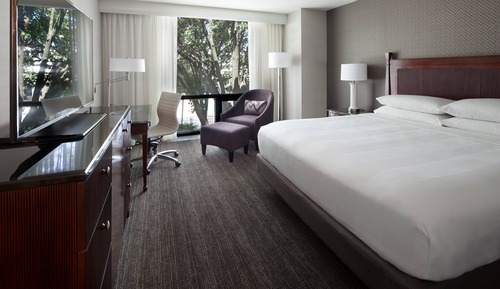 Room, 1 King Bed (Hearing Accessible)