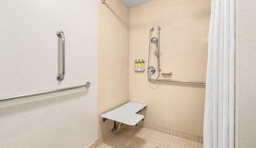 Standard Room, 1 King Bed, Accessible (Comm, Mobil, Roll In Shwr)