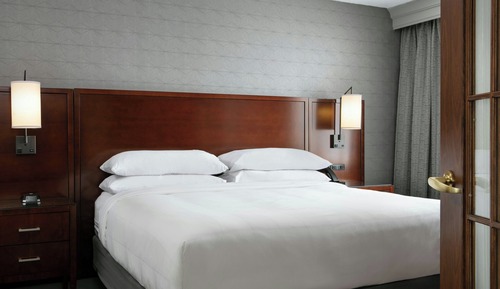 Room, 1 King Bed (Mobility Accessible, Roll-in Shower)