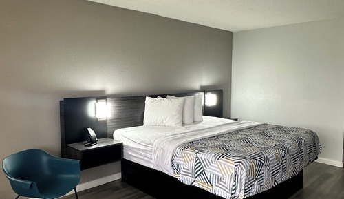 Deluxe Room, 1 King Bed, Smoking, Refrigerator & Microwave