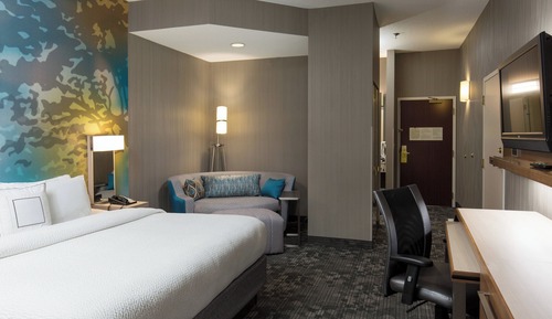 Room, 1 King Bed with Sofa bed, Roll-in Shower