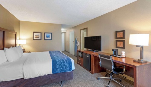 Room, 1 King Bed, Accessible, Non Smoking