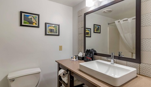 Suite, 1 King Bed with Sofa bed, Non Smoking