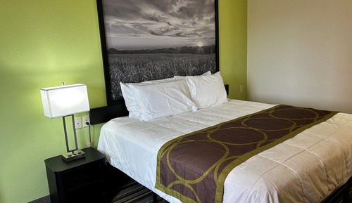 Suite, 1 King Bed, Microwave