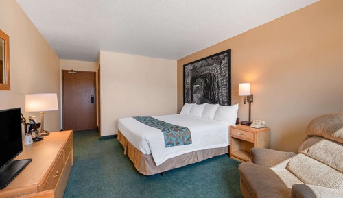 Room, 1 King Bed