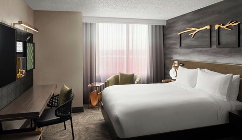 Room, 1 Queen Bed