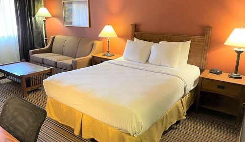 Standard Single Room, 1 Queen Bed with Sofa bed