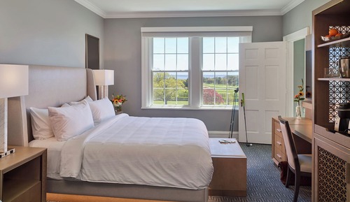 Room, 1 King Bed