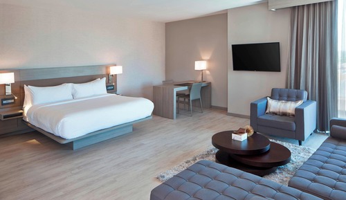 Suite, 1 King Bed