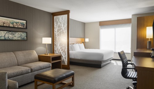 Room, 1 King Bed with Sofa bed (High Floor)