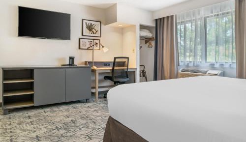 Premium King Room - Non-Smoking