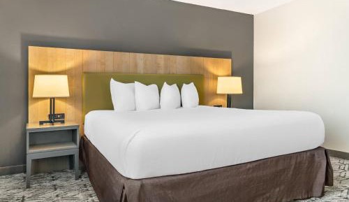 King Room with Roll-in Shower - Disability Access/Non-Smoking