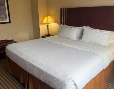 Executive King Suite with Spa Bath - Non-smoking