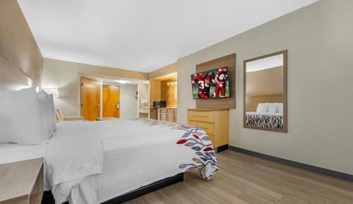 Suite King Room Non-Smoking