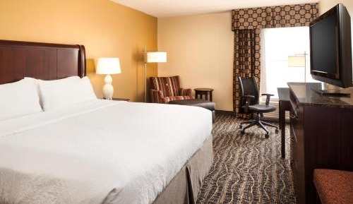 Standard King Room