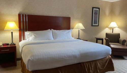 King Suite with City View