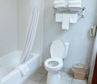 Deluxe Queen Studio 