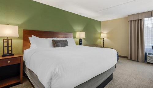 King Room with Sofa Bed - Non-Smoking