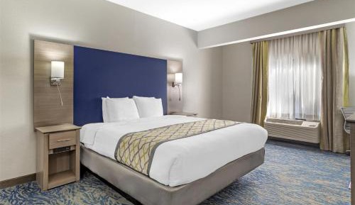 King Room with Roll-In Shower - Mobility Accessible