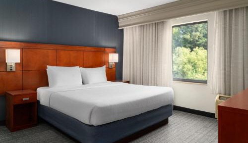 One-Bedroom King Suite with Sofa Bed