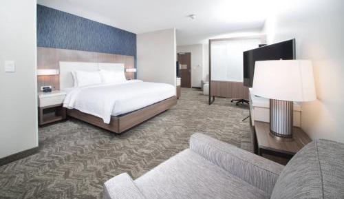 Deluxe King suite with Sofa Bed and Whirlpool