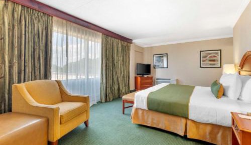 Penthouse King Suite with Sofa Bed - Non-Smoking