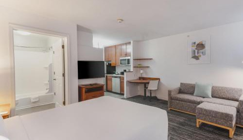 Queen Studio with Sofa Bed and Roll-in Shower - Mobility and Hearing Accessible
