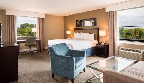 Junior King Suite with Sofa Bed