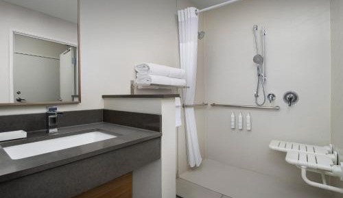 King Room with Roll-In Shower - Mobility Access/Hearing Accessible