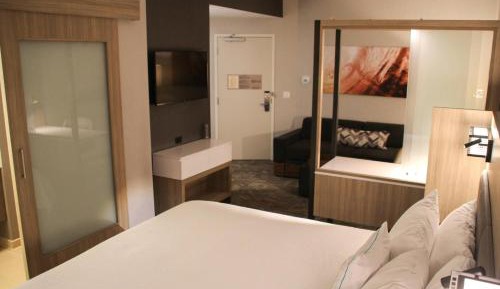 King Suite with Bathtub and Trundle Sofa - Mobility Access/Hearing Accessible