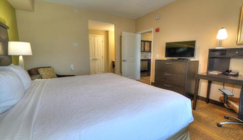 One-Bedroom Suite with Kitchen, Sofa Bed and Pond View