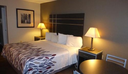 Deluxe King Room with Disability Access - Non-Smoking
