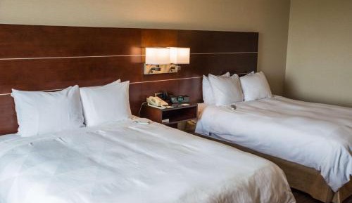 Queen Room with Two Queen Beds - Non-Smoking