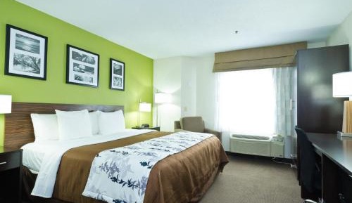 King Room - Non-Smoking