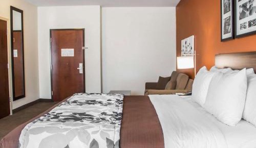 King Suite - Accessible/Non-Smoking