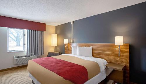 Standard King Room - Non-Smoking 