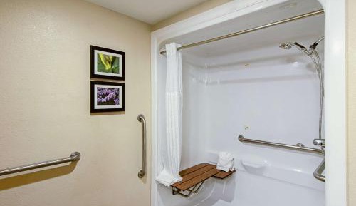 King Suite with Roll-In Shower - Accessible/Non-Smoking