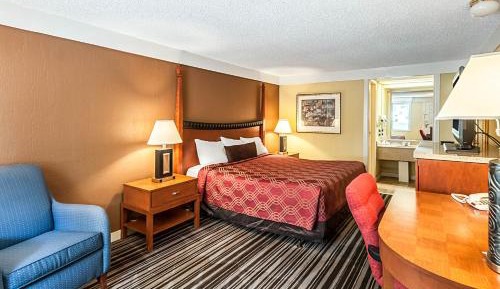 King Room - Non-Smoking/Ground Floor