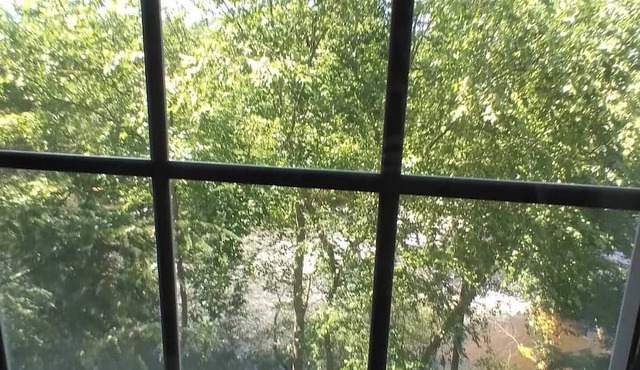 Serene Condo on Neuse River